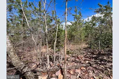 116.32 Acres Gilliam Mill Road, Dillwyn, VA 23936 - Photo 33
