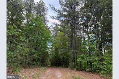 Bell Road (Tract: Moore North), Dillwyn, VA 23936 - Photo 21