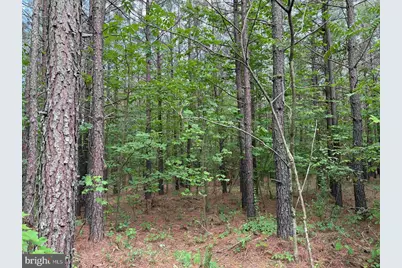Bell Road (Tract: Moore North), Dillwyn, VA 23936 - Photo 9