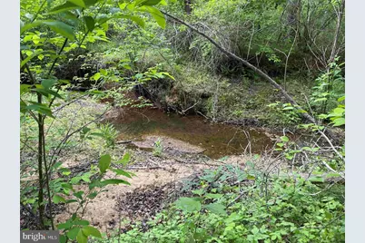 Bell Road (Tract: Moore North), Dillwyn, VA 23936 - Photo 15