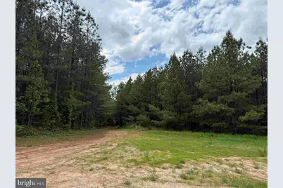 Bell Road (Tract: Moore North), Dillwyn, VA 23936 - Photo 17