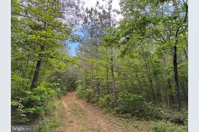 Bell Road (Tract: Moore North), Dillwyn, VA 23936 - Photo 13