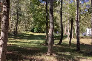 316 Coles Creek Ln, New Canton, VA 23123 - Photo 29