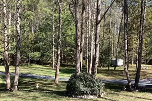 316 Coles Creek Ln, New Canton, VA 23123 - Photo 33