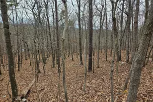 Chapman Ln, Boyce, VA 22620 - Photo 3