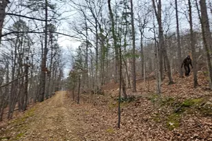 Chapman Ln, Boyce, VA 22620 - Photo 1
