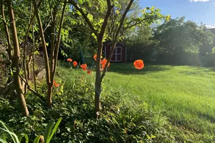 10843 Harry Byrd Hwy, Berryville, VA 22611 - Photo 39