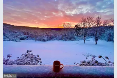 1230 Chilly Hollow Road, Berryville, VA 22611 - Photo 43