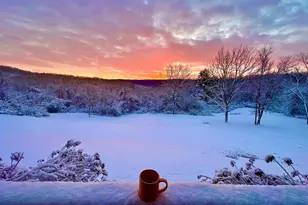 1230 Chilly Hollow Rd, Berryville, VA 22611 - Photo 43