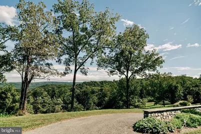 1230 Chilly Hollow Road, Berryville, VA 22611 - Photo 49