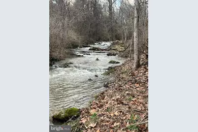 1230 Chilly Hollow Road, Berryville, VA 22611 - Photo 55