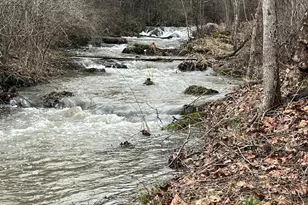 1230 Chilly Hollow Rd, Berryville, VA 22611 - Photo 55