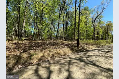 Lot 92 Honeysuckle Lane, Bluemont, VA 20135 - Photo 1