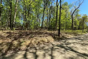 Lot 92 Honeysuckle Ln, Bluemont, VA 20135 - Photo 1