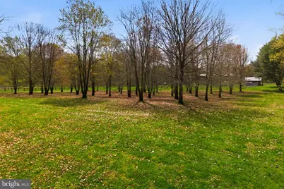 1527 Shenandoah River Lane, Boyce, VA 22620 - Photo 51