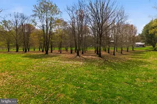 1527 Shenandoah River Ln, Boyce, VA 22620 - Photo 51