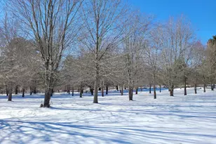 1527 Shenandoah River Ln, Boyce, VA 22620 - Photo 65