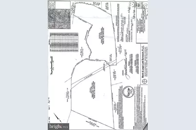 922 Manor Road, White Post, VA 22630 - Photo 3