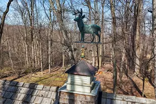 17641 Raven Rocks Rd, Bluemont, VA 20135 - Photo 19