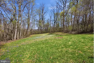 22009 Blue Ridge Mtn Road, Paris, VA 20130 - Photo 41