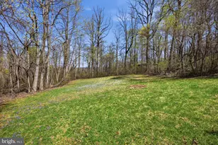 22009 Blue Ridge Mountain Rd, Paris, VA 20130 - Photo 41