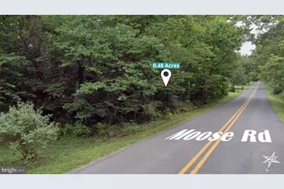 Moose Road, Berryville, VA 22611 - Photo 5
