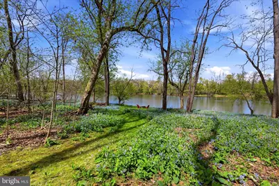 3784 Calmes Neck Lane, Boyce, VA 22620 - Photo 41
