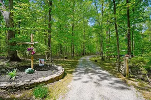 98 Cliff Ln, Bluemont, VA 20135 - Photo 3