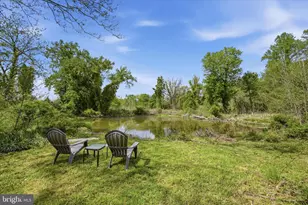 4001 Calmes Neck Ln, Boyce, VA 22620 - Photo 23
