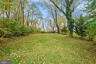 219 Josephine St, Berryville, VA 22611 - Photo 23