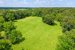 961 Summerville Rd, Boyce, VA 22620 - Photo 35