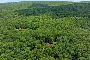 355 Duke Ln, Bluemont, VA 20135 - Photo 67