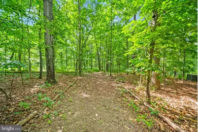 4020 Millwood Road, Boyce, VA 22620 - Photo 99
