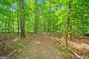 4020 Millwood Rd, Boyce, VA 22620 - Photo 99