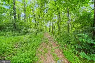 4020 Millwood Rd, Boyce, VA 22620 - Photo 103