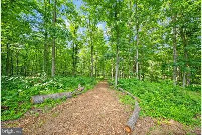 4020 Millwood Road, Boyce, VA 22620 - Photo 101