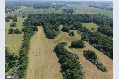 10068 Harry Byrd Highway, Berryville, VA 22611 - Photo 31