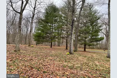 228 Tadpole Lane, Bluemont, VA 20135 - Photo 13