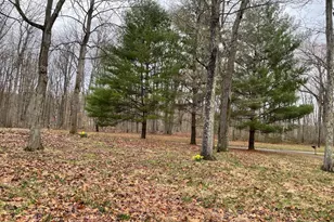 228 Tadpole Ln, Bluemont, VA 20135 - Photo 13
