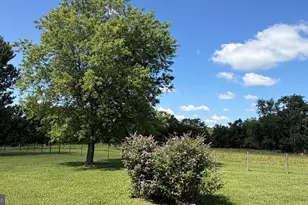 179 Clifton Rd, Berryville, VA 22611 - Photo 55
