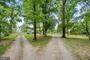 1263 Frogtown Rd, Bluemont, VA 20135 - Photo 61