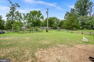 1263 Frogtown Rd, Bluemont, VA 20135 - Photo 57