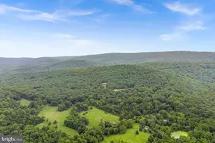 1263 Frogtown Rd, Bluemont, VA 20135 - Photo 65