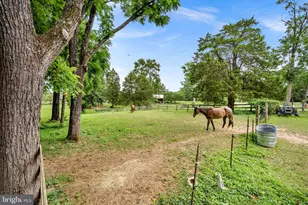 1263 Frogtown Rd, Bluemont, VA 20135 - Photo 55