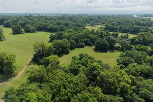 10068 Harry Byrd Hwy, Berryville, VA 22611 - Photo 19
