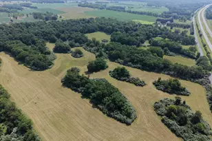 10068 Harry Byrd Hwy, Berryville, VA 22611 - Photo 27