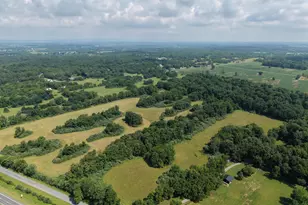 10068 Harry Byrd Hwy, Berryville, VA 22611 - Photo 3