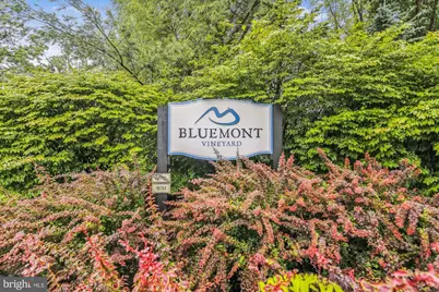 598 Timber Lane, Bluemont, VA 20135 - Photo 47