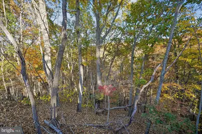 598 Timber Lane, Bluemont, VA 20135 - Photo 11