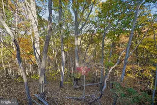 598 Timber Ln, Bluemont, VA 20135 - Photo 11